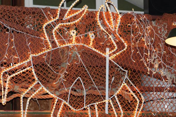 Garibaldi Lions