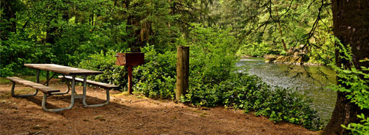 Kilchis River Campground