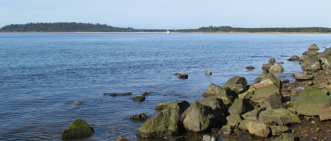 Tillamook Bay