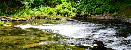 Trask River Campground